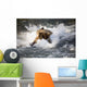 Brown Bear Dives Into Brooks River For Salmon Wall Mural