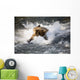 Brown Bear Dives Into Brooks River For Salmon Wall Mural