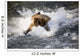 Brown Bear Dives Into Brooks River For Salmon Wall Mural
