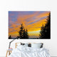 Sunset Clouds Blaze Orange Over Iliamna Volcano As Seen From The Hills Wall Mural