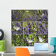 Butterflies Flamed Illustration Wall Mural