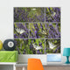 Butterflies Flamed Illustration Wall Mural