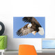 Bald Eagle In Flight With Talons Holding Fish Bait In Eagle River Wall Mural