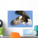 Bald Eagle In Flight With Talons Holding Fish Bait In Eagle River Wall Mural