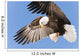 Bald Eagle In Flight With Talons Holding Fish Bait In Eagle River Wall Mural