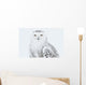 Snowy Owl Standing On Snow, Saint-Barthelemy, Quebec, Canada, Winter Wall Mural