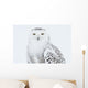 Snowy Owl Standing On Snow, Saint-Barthelemy, Quebec, Canada, Winter Wall Mural