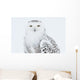 Snowy Owl Standing On Snow, Saint-Barthelemy, Quebec, Canada, Winter Wall Mural