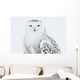 Snowy Owl Standing On Snow, Saint-Barthelemy, Quebec, Canada, Winter Wall Mural