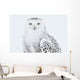 Snowy Owl Standing On Snow, Saint-Barthelemy, Quebec, Canada, Winter Wall Mural
