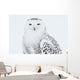 Snowy Owl Standing On Snow, Saint-Barthelemy, Quebec, Canada, Winter Wall Mural