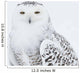 Snowy Owl Standing On Snow, Saint-Barthelemy, Quebec, Canada, Winter Wall Mural