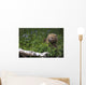 View Of Brown Bear Resting In A Patch Of Wild Geraniums Wall Mural