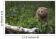 View Of Brown Bear Resting In A Patch Of Wild Geraniums Wall Mural
