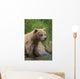 View Of Brown Bear Standing Near The Shore Of The Russian River Wall Mural