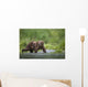 Brown Bear Wades Through A Stream Near Prince William Sound Wall Mural