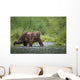 Brown Bear Wades Through A Stream Near Prince William Sound Wall Mural