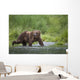 Brown Bear Wades Through A Stream Near Prince William Sound Wall Mural