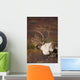 Bull Caribou On Autumn Tundra In Denali National Park, Interior Alaska Wall Mural