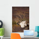 Bull Caribou On Autumn Tundra In Denali National Park, Interior Alaska Wall Mural