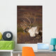 Bull Caribou On Autumn Tundra In Denali National Park, Interior Alaska Wall Mural