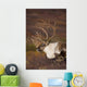 Bull Caribou On Autumn Tundra In Denali National Park, Interior Alaska Wall Mural
