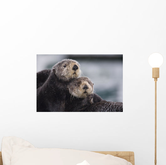 Close Up View Of Sea Otters Huddled Together Wall Mural