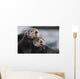 Close Up View Of Sea Otters Huddled Together Wall Mural