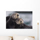 Close Up View Of Sea Otters Huddled Together Wall Mural