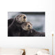 Close Up View Of Sea Otters Huddled Together Wall Mural