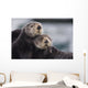 Close Up View Of Sea Otters Huddled Together Wall Mural