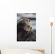 Close Up View Of Sea Otters Huddled Together Wall Mural