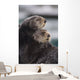 Close Up View Of Sea Otters Huddled Together Wall Mural