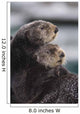 Close Up View Of Sea Otters Huddled Together Wall Mural