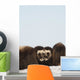 Two Muskox Calves Protected Wall Mural