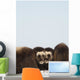 Two Muskox Calves Protected Wall Mural