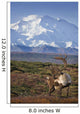 Caribou Bull Standing Wall Mural