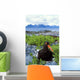 Black Oystercatcher Wall Mural