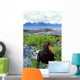 Black Oystercatcher Wall Mural