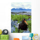 Black Oystercatcher Wall Mural