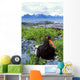 Black Oystercatcher Wall Mural