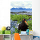 Black Oystercatcher Wall Mural