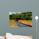 Canoe in Rainforest Wall Mural