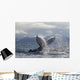 Humpback Whale Tail Slapping Surface Of Prince William Sound Wall Mural