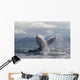 Humpback Whale Tail Slapping Surface Of Prince William Sound Wall Mural