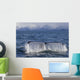 Humpback Whale Fluking With Water Cascading Wall Mural