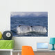 Humpback Whale Fluking With Water Cascading Wall Mural