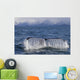 Humpback Whale Fluking With Water Cascading Wall Mural