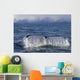 Humpback Whale Fluking With Water Cascading Wall Mural