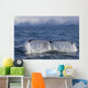 Humpback Whale Fluking With Water Cascading Wall Mural